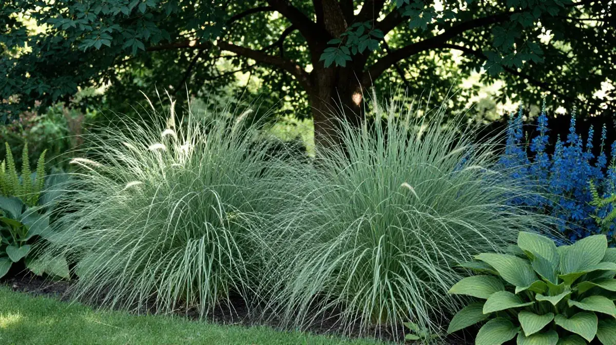 Incorporate Ornamental Grasses