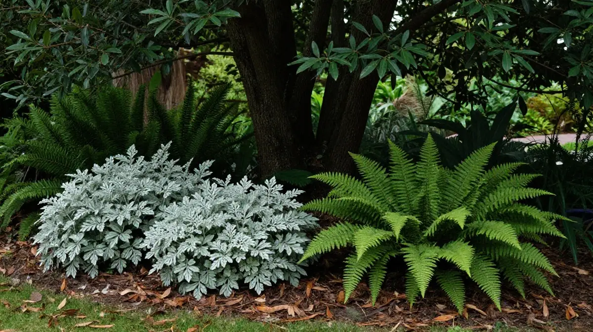 Combine Heuchera With Ferns for a Woodland-Inspired Look