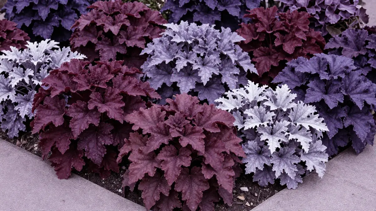 Design a Monochromatic Purple and Burgundy Garden Bed