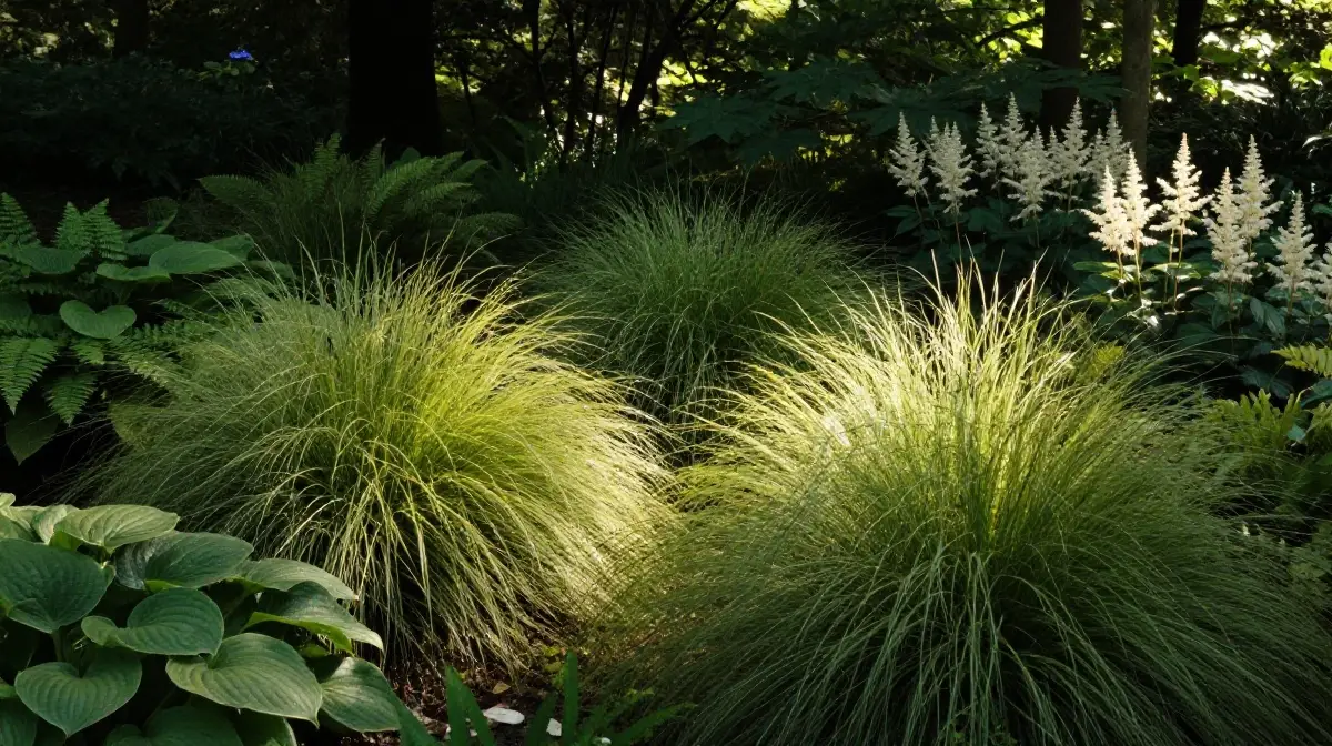 Illuminate Shaded Areas with Japanese Forest Grass
