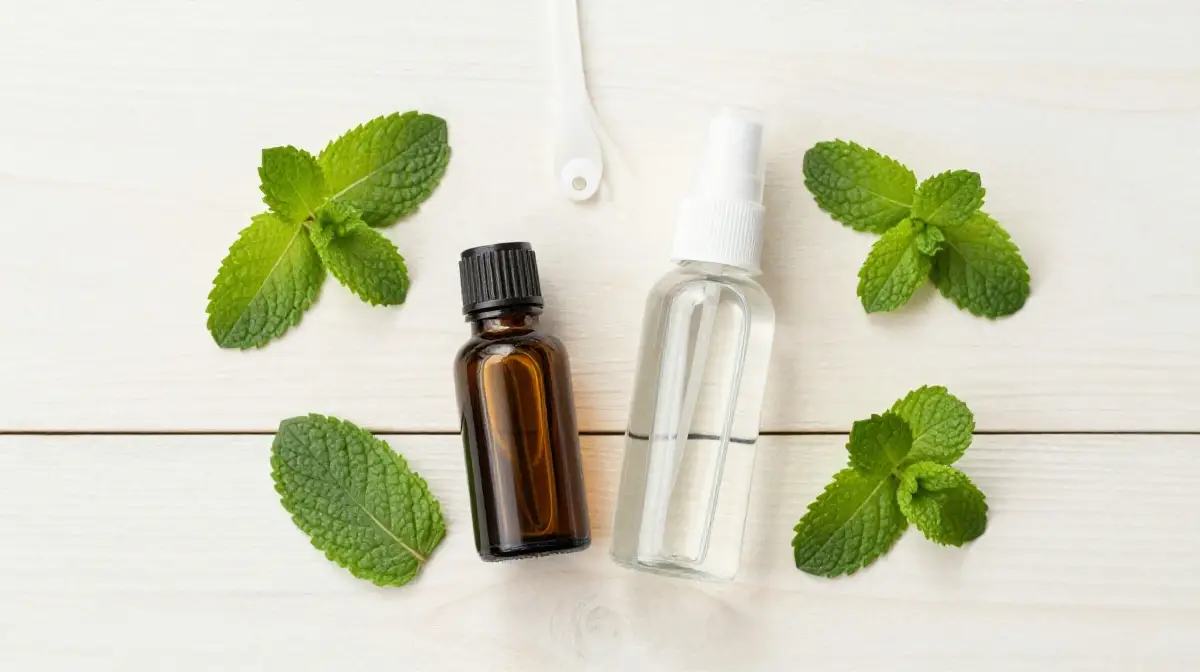 Use Peppermint Oil as a Natural Ant Repellent