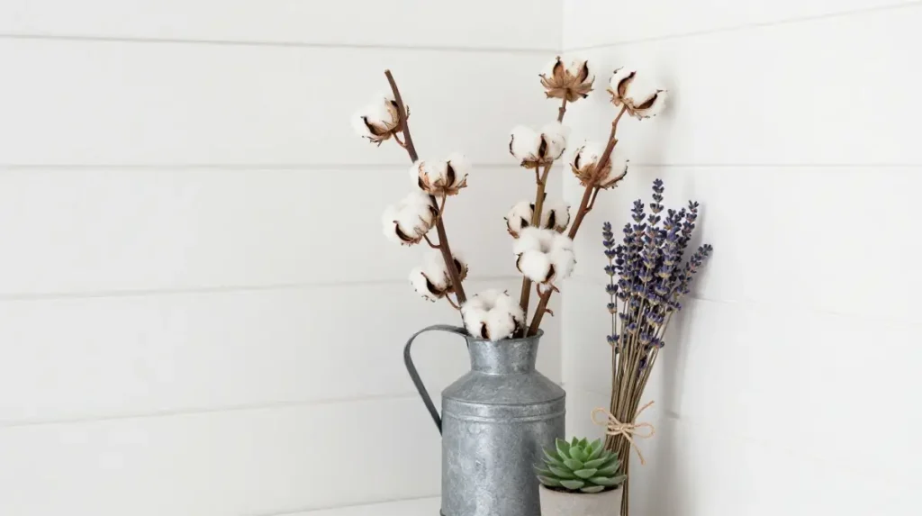 Cotton Stems and Dried Botanicals